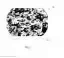 Fig. 02 - Devices and methods for tissue engineering