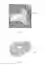 Fig. 07 - Calcium sulfate composite particles including aggregated calcium sulfate nanoparticles and method of use for bone augmentation
