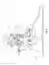 Fig. 06 - Passive ankle prosthesis with energy return simulating that of a natural ankle