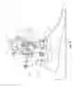 Fig. 09 - Passive ankle prosthesis with energy return simulating that of a natural ankle