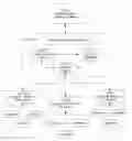 Fig. 01 - SYSTEM FOR CONCURRENT OPTIMIZATION OF BUSINESS ECONOMICS AND CUSTOMER VALUE
