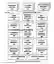 Fig. 01 - System and method for charging a customer's cellular device account after retrieving the customer's cell phone balance via USSD