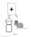 Fig. 09 - AGGREGATION OF BIO-SIGNALS FROM MULTIPLE INDIVIDUALS TO ACHIEVE A COLLECTIVE OUTCOME