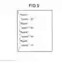 Fig. 09 - Information processing apparatus and computer program product