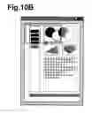 Fig. 24 - Modification of selected areas for image processing