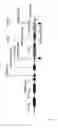 Fig. 08 - STRESS TOLERANT PLANTS