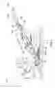 Fig. 04 - Mechanical sweeper
