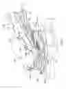 Fig. 07 - Mechanical sweeper