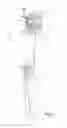 Fig. 02 - Toothbrush with movable head portion