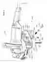Fig. 09 - Undercut saw height adjustment, handle, blade guard improvements