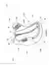 Fig. 05 - Footwear