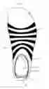 Fig. 03 - Minimal Footwear