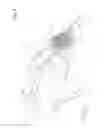Fig. 06 - Breech for a repeating firearm