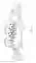 Fig. 02 - Fish holding device for culling fish