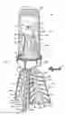Fig. 02 - Illuminated insect trap