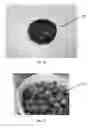 Fig. 04 - MOISTURE RESISTANT BIOMASS FUEL COMPACT AND METHOD OF MANUFACTURING