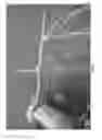 Fig. 05 - Methods for vegetative propagation of grass plants