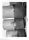 Fig. 07 - Methods for vegetative propagation of grass plants