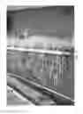 Fig. 13 - Methods for vegetative propagation of grass plants