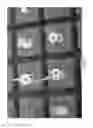 Fig. 14 - Methods for vegetative propagation of grass plants