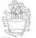 Fig. 01 - METHOD OF COVERING A POT WITH A FLORAL SLEEVE