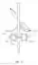 Fig. 12 - HIGH SPEED CORN ROW UNIT DECK PLATES