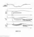 Fig. 07 - Use of vibrational spectroscopy for DNA content inspection