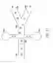 Fig. 15 - Use of vibrational spectroscopy for DNA content inspection