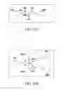 Fig. 33 - Use of vibrational spectroscopy for DNA content inspection