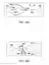 Fig. 34 - Use of vibrational spectroscopy for DNA content inspection