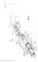 Fig. 07 - DUAL ACTION SHOTGUN