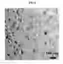 Fig. 06 - CONTAINER FOR CRYSTALLIZATION, CRYSTALLIZATION APPARATUS, METHOD FOR PRODUCING CRYSTAL, AND SUBSTRATE FOR CRYSTALLIZATION