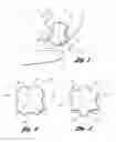 Fig. 02 - Apparatus and method for removing fingernail polish