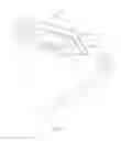 Fig. 04 - Toothpaste droplets