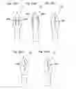 Fig. 09 - Lip cosmetic applicator device