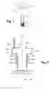 Fig. 02 - Device and method for recovering magnetic particles trapped on a magnetic plug
