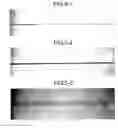 Fig. 06 - METHOD FOR MANUFACTURING ORGANIC THIN FILM SOLAR CELL MODULE