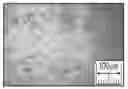 Fig. 01 - PRETREATMENT METHOD OF CELLULOSIC BIOMASS VIA FLOWABILITY CONTROL AND REACTIVE EXTRUSION PROCESS