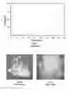 Fig. 02 - PRETREATMENT METHOD OF CELLULOSIC BIOMASS VIA FLOWABILITY CONTROL AND REACTIVE EXTRUSION PROCESS