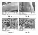 Fig. 10 - PRETREATMENT METHOD OF CELLULOSIC BIOMASS VIA FLOWABILITY CONTROL AND REACTIVE EXTRUSION PROCESS