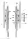Fig. 01 - Stage tool