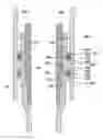 Fig. 01 - ANCHORING AND SEALING TOOL