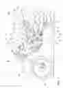 Fig. 02 - Exhaust system for motorcycle