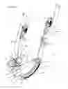 Fig. 02 - Fall protection device for use in climbing poles