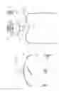 Fig. 02 - Vessel neck construction of a pressure vessel