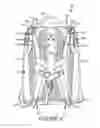 Fig. 07 - Backpack shoulder strap
