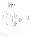 Fig. 08 - ELECTRONIC PAYMENT USING OPTICALLY READABLE  SYMBOLS