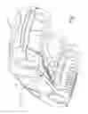 Fig. 02 - Pipe bracket for vehicle
