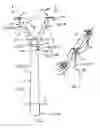 Fig. 02 - Support apparatus for supporting utility cables and utility transmission line including same