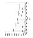 Fig. 02 - Method for detecting molecules through mass spectrometry